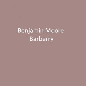 benjamin moore burberry|Advance® Interior Paint .